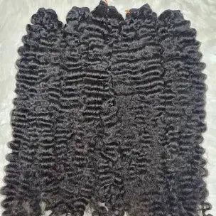 Burmese Curly